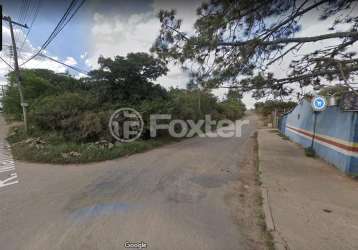 Terreno à venda na rua martinho lutero, 805, formoza, alvorada, 6 m2 por r$ 950.000