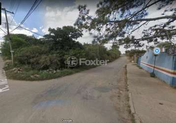 Terreno à venda na rua martinho lutero, 805, formoza, alvorada, 6 m2 por r$ 950.000