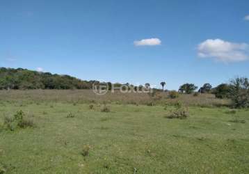 Terreno à venda na estrada do cemitério, 900, águas claras, viamão, 69756 m2 por r$ 1.116.100