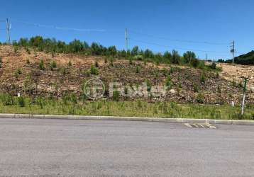 Terreno em condomínio fechado à venda na rua joão rippel, s/n, são giácomo, caxias do sul, 300 m2 por r$ 149.000