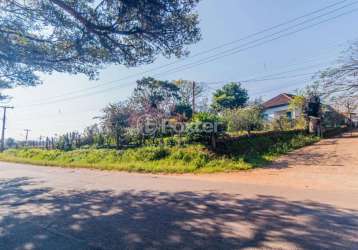 Fazenda à venda na beco do cocão, 6000, cocão, viamão, 43400 m2 por r$ 2.500.000