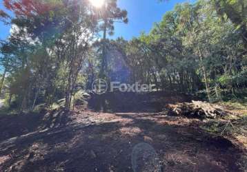 Terreno em condomínio fechado à venda na undefined ers-466, lote 14 a, caracol, canela, 741 m2 por r$ 689.000