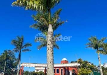 Casa com 3 quartos à venda na rodovia doutor antônio luiz moura gonzaga, 3801, rio tavares, florianópolis, 340 m2 por r$ 6.800.000