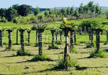 Fazenda com 2 salas à venda na estrada joão lopes, 2790, rincão são joão, glorinha, 70000 m2 por r$ 481.500