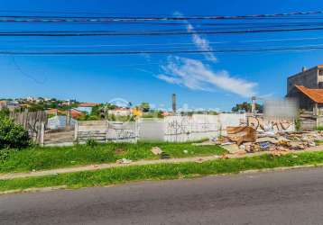 Terreno comercial à venda na avenida professor oscar pereira, 1909, glória, porto alegre, 2969 m2 por r$ 3.950.000