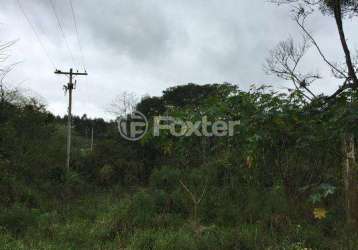 Terreno à venda na estrada do rincão, 2820, belém velho, porto alegre, 32500 m2 por r$ 650.000