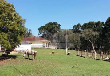 Fazenda 150 alqueires a venda em castro