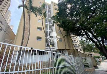 Apartamento cambuí a venda