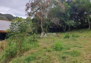 Terreno residencial à venda, vila rosa, piraquara - te0026.