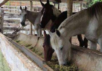 Fazenda com à venda, 60000 m² por r$ 1.490.000