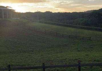 Chácara /haras à venda, 20000 m² - almirante tamandaré/pr