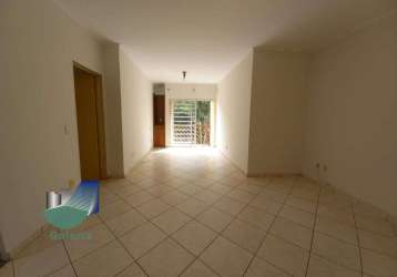 Apartamento com 2 quartos à venda, 56m² - jardim são luiz