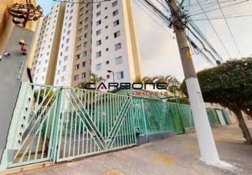 Apartamento com 2 quartos à venda na rua coronel antônio marcelo, belenzinho, são paulo por r$ 300.000