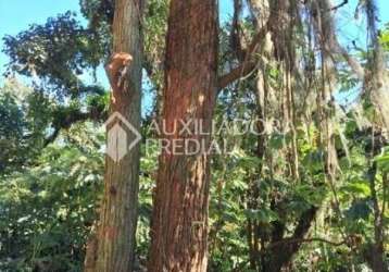 Terreno comercial à venda na estrada martim afonso de souza, 1, balneária, são bernardo do campo por r$ 1.800.000