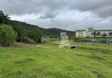 Lote/terreno, espinheiros - itajaí