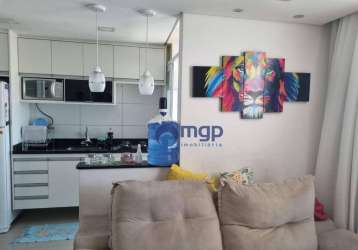 Apartamento com 2 quartos, á venda na vila maria - 45 m² - são paulo/sp