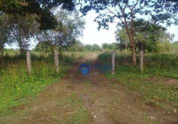 Fazenda à venda em são felix do araguaia - 250 hectares - são felix do araguaia/mt