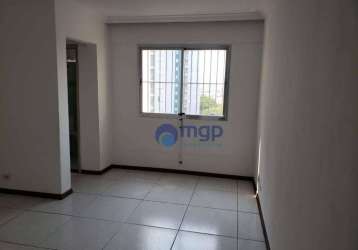 Apartamento com 2 dormitórios à venda, 50 m² por r$ 350.000,00 - parque novo mundo - são paulo/sp