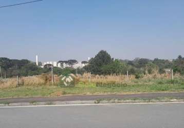 Terreno de esquina - jardim sabiá - araucaria