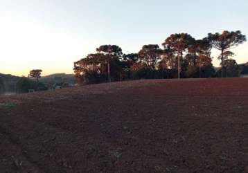 Terreno - grandes areas - rio abaixinho - araucaria