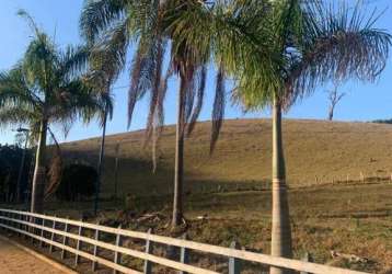 Fazenda á venda em piranguinho - mg com 32 hectares