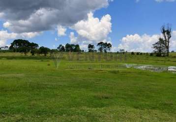 Terreno à venda na avenida vereador domingos benvenuto moletta, 00, campo largo da roseira, são josé dos pinhais por r$ 3.580.000