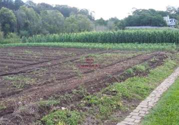 Terreno à venda na estrada vereador marcial pisoni, 1, nossa senhora da saúde, caxias do sul por r$ 2.000.000