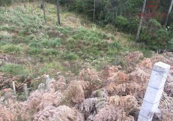 Terreno à venda na rua guerino sanvitto, 0000, sanvitto, caxias do sul por r$ 2.150.000