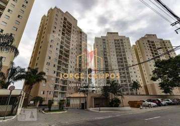 Ap-24166 - lindo apartamento com 3 dormitórios à venda no jardim augusta