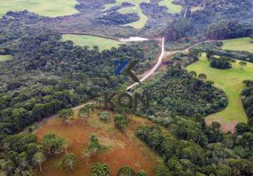 Fazenda em guarapuava pr