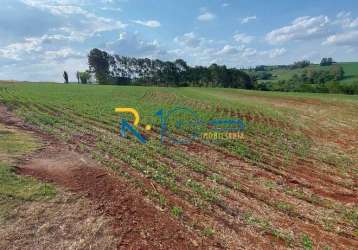 Sitio  a venda área de 2 alqueires na rodovia  topografia  plana  com rio.