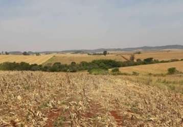 Sitio a venda  com uma área de 10 alqueires  na região de jataizinho paraná