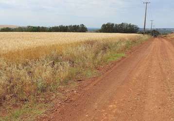 Sitio a venda   área  de 4 alqueires  gleba primavera ibiporã pr