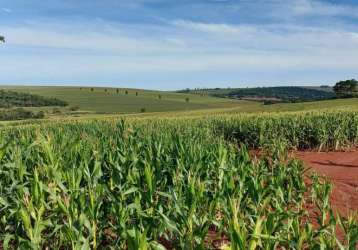 Sítio a venda área de 22,183 alqueires ,plantando 18 alqueires  porecatu pr