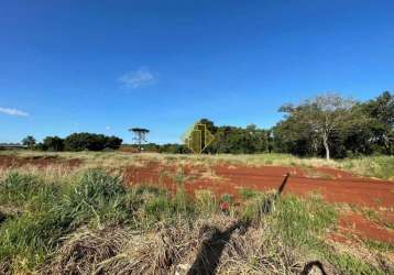 Terreno para aluguel, tocantins - toledo/pr