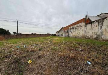 Terreno comercial para locação, cidade satélite íris, campinas - te0290.