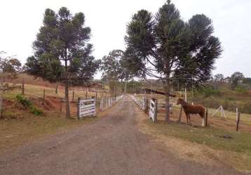 Rural chácara em são carlos