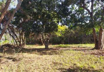 Rural chácara em são carlos