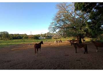 Área em ribeirão preto | 40.000m²