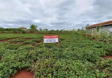 Terreno residencial para venda em assis chateaubriand, centro