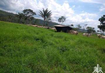 Fazenda para venda em juara, paranorte