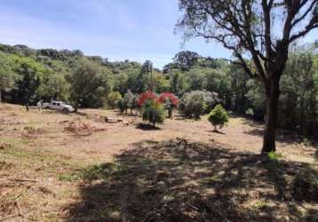 Fazenda à venda na sem nome, rio do cacho, contenda, 37940 m2 por r$ 490.000