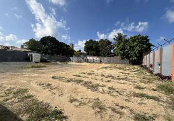 Lote 1050m²-av. rio grande do sul - bairro dos estados