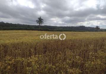 Fazenda à venda no centro, lapa  por r$ 6.000.000