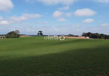 Terreno à venda em mato branco, contenda  por r$ 4.000.000