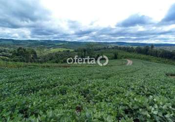 Terreno à venda no mato preto, lapa  por r$ 335.000