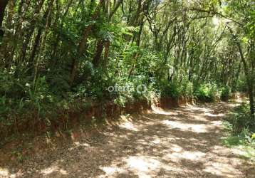 Chácara / sítio à venda no rio verde de cima, araucária  por r$ 550.000