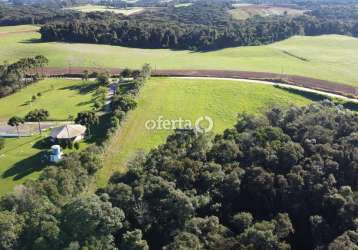 Chácara / sítio à venda no campo redondo, araucária , 23339 m2 por r$ 950.000