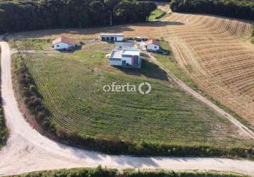 Chácara / sítio com 4 quartos à venda em formigueiro, araucária , 3000 m2 por r$ 1.300.000