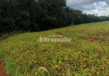 Chácara / sítio à venda na não informado, colonia barreiro, cascavel por r$ 350.000